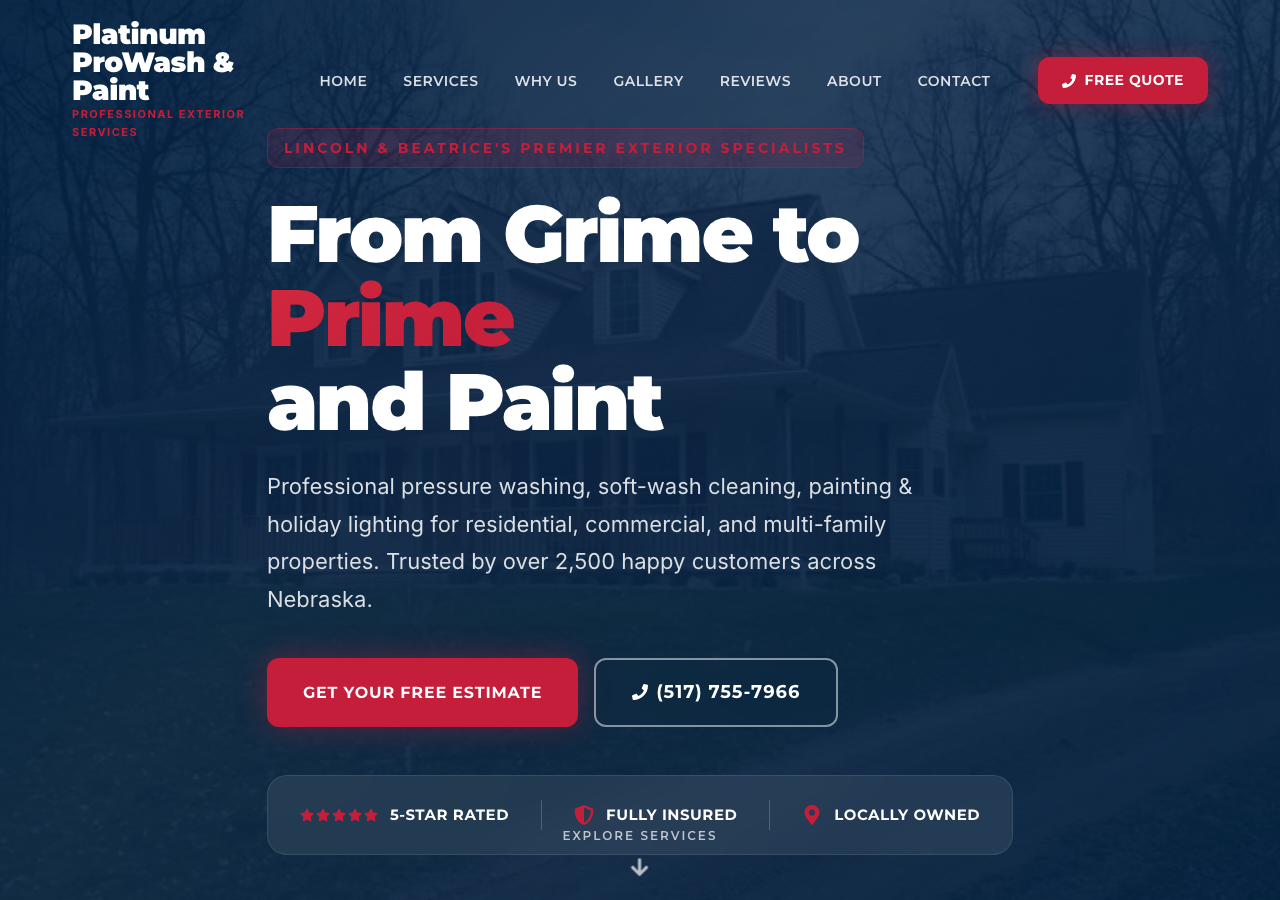 Platinum Prowash & Paint website